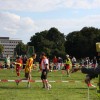 IMG_3956