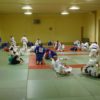 TL-Sportloewen_110411_3906