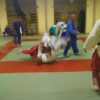 TL-Sportloewen_110411_4036