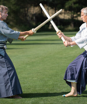 Aikido-Training Einzelticket